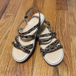 Leopard Cat and Jack Velcro sandal / VGC